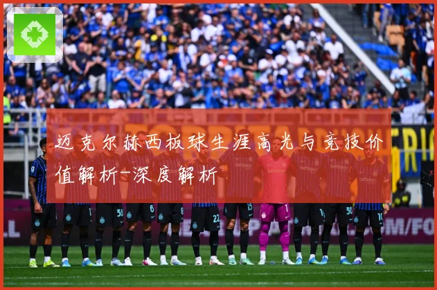 迈克尔赫西板球生涯高光与竞技价值解析-深度解析