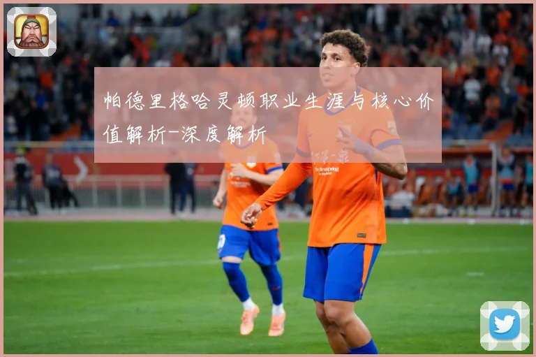 帕德里格哈灵顿职业生涯与核心价值解析-深度解析